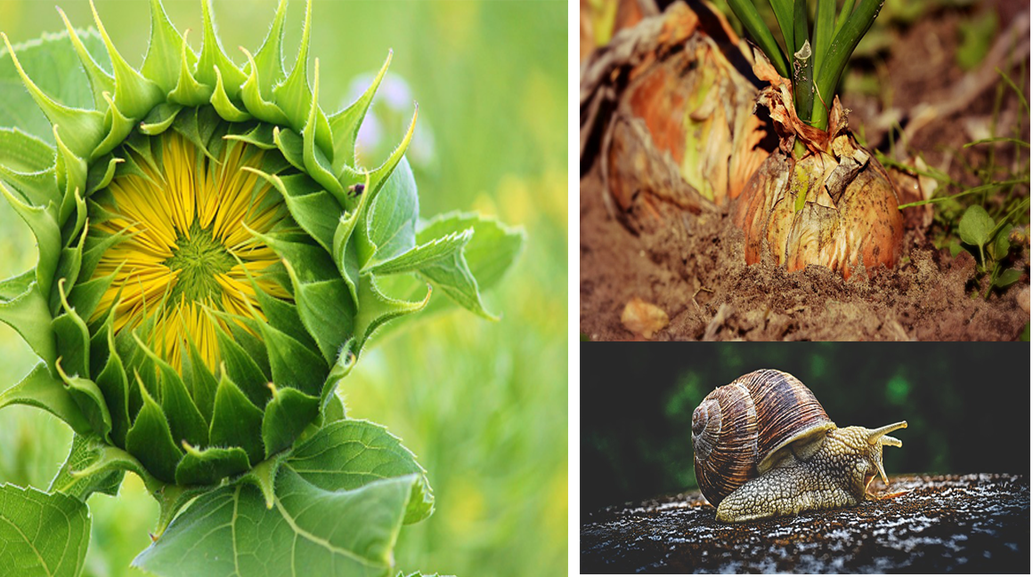 Farbe als eines der kraftvollsten Elemente der Natur nutzen. Symbolische und Psychologische Bedeutung und Anwendung der Farben: Gelb